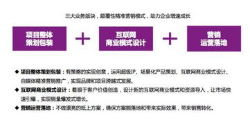 掌握市場(chǎng)營(yíng)銷(xiāo)與經(jīng)濟(jì)貿(mào)易咨詢 雙軌并進(jìn)的專(zhuān)業(yè)發(fā)展指南
